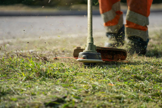 Professional Landscaping Services in Kitchener, Waterloo, Cambridge & Surrounding Areas